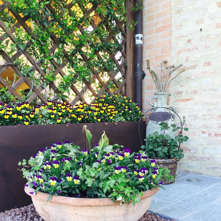 Cascina Cortine Bed & Breakfast Guarene Екстериор снимка