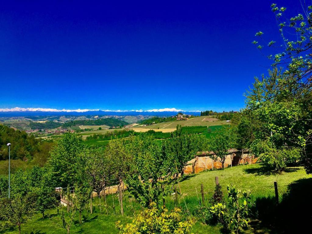 Cascina Cortine Bed & Breakfast Guarene Екстериор снимка